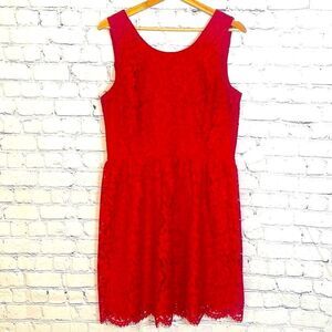 Loft Outlet Lace Dress